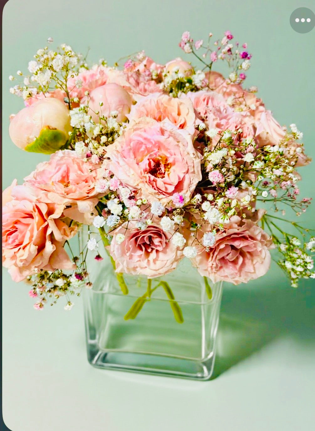 Fresh Blooms